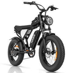 RIDSTAR Q20 Lite 20" Fat Tires Electric Bikes 1000W Motor 48V 15Ah Battery