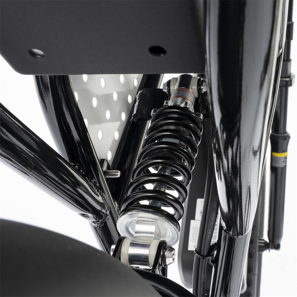 RIDSTAR Q20 Lite 20" Fat Tires Electric Bikes 1000W Motor 48V 15Ah Battery