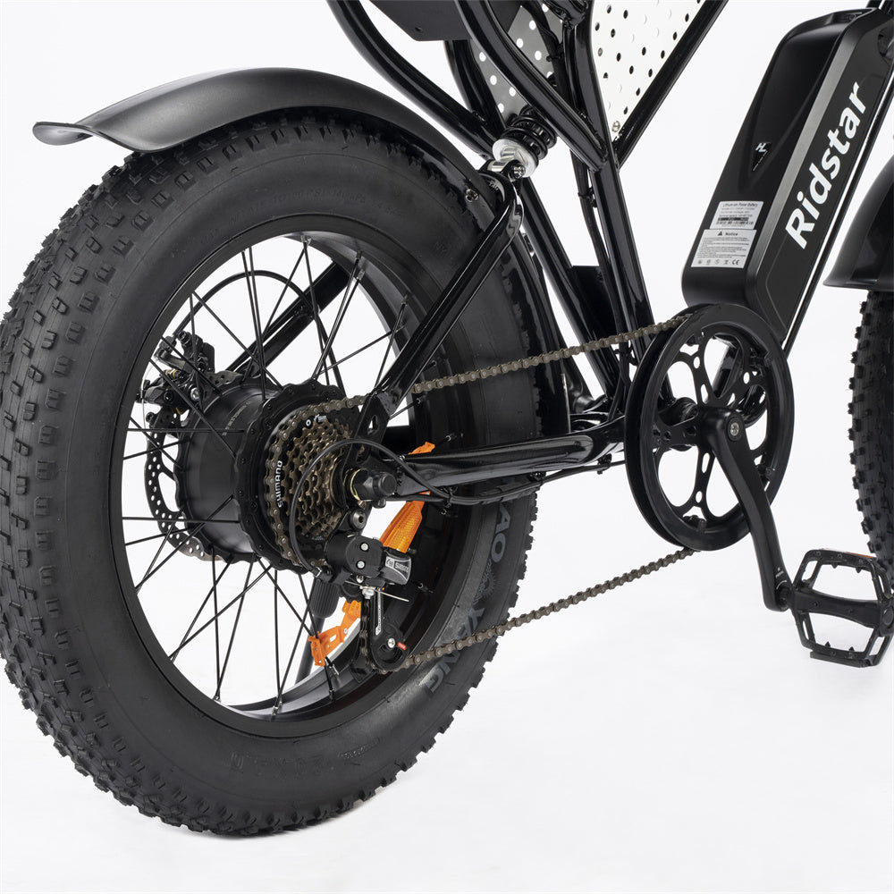 RIDSTAR Q20 Lite 20" Fat Tires Electric Bikes 1000W Motor 48V 15Ah Battery