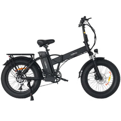 WINDGOO F21 PRO 20" Folding Electric Bike 250W Motor 48V 12.5Ah Battery